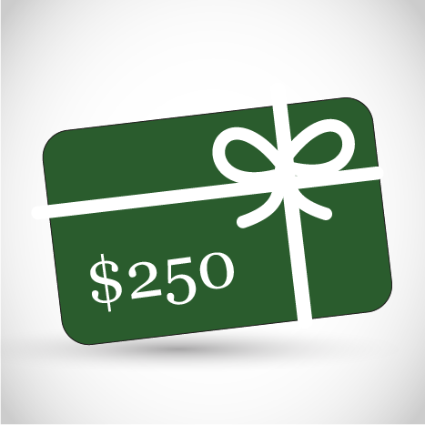 250$ Gift Certificate - Gift Certificates >